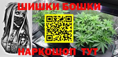 индика Абакан