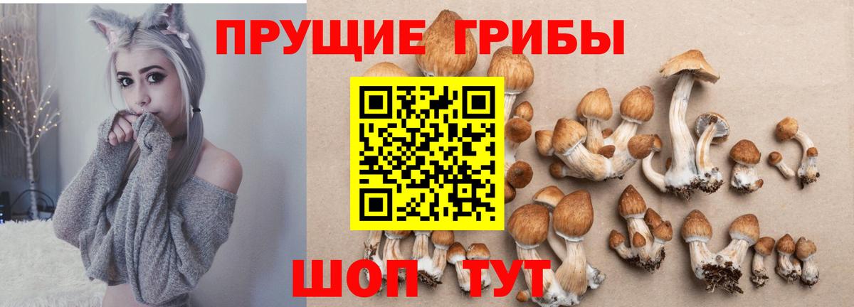 Псилоцибиновые грибы Cubensis  Галлюциногенные грибы Psilocybe  Вход с VPN  Алатырь 